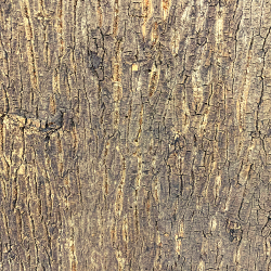 Cork Background - 60 x 90cm