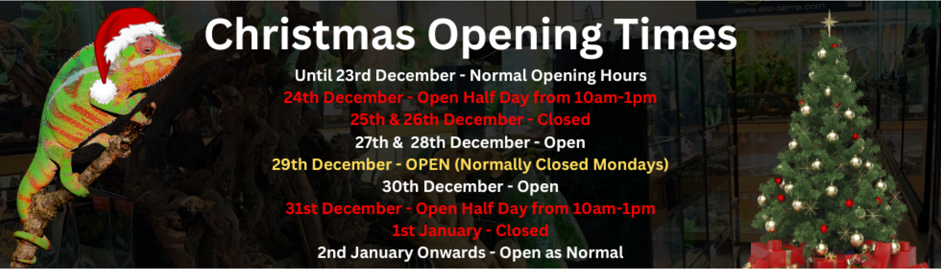 Christmas opening times