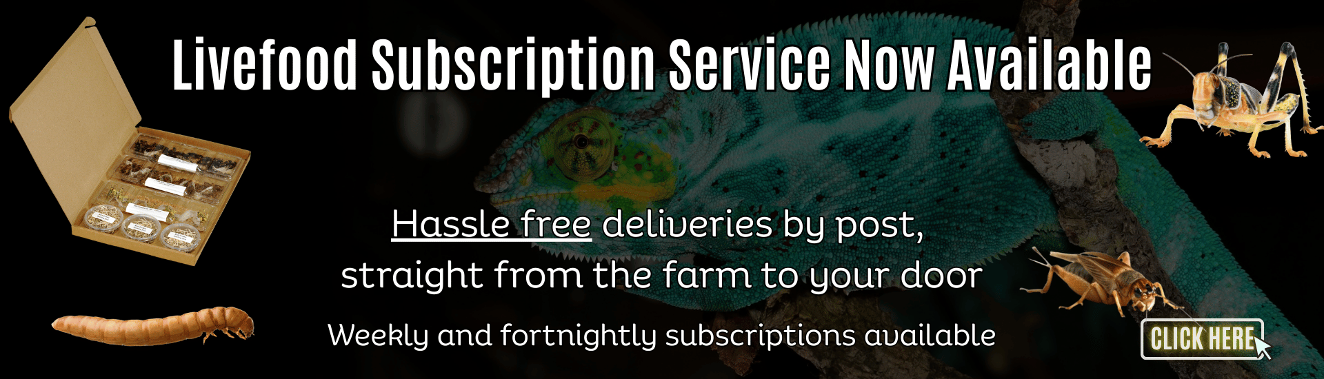 Subscription