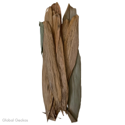 Natural Bamboo Leaves
