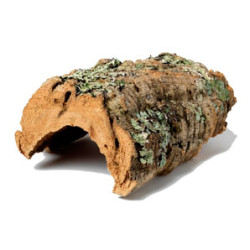 Cork Bark (Round) - SIZES AVAILABLE