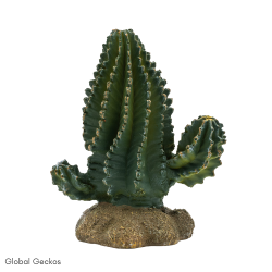 PR Cactus