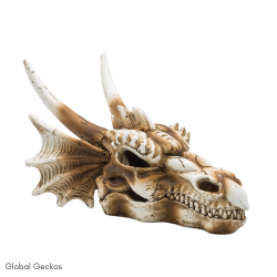 PR Dragon Skull