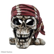 AQ Pirate Skull Red Bandana