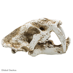 PR Smilodon Skull