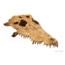 Exo Terra Crocodile Skull