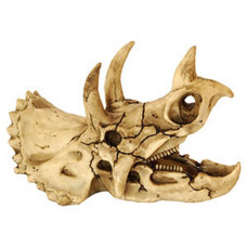 Repstyle Triceratops Skull