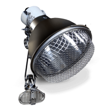 Arcadia 20cm Clamp Lamp - Graphite
