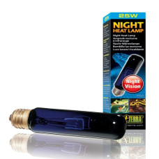 Exo Terra Night Heat Bulb