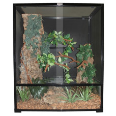 Komodo Chameleon Terrarium