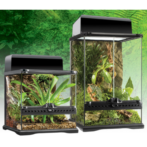 Exo Terra Glass Terrarium 12 x 12 x 12in (Mini/Wide) DER12 GlobalGeckos.co.uk