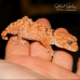 Centralian Knob Tailed Gecko CB26