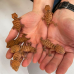 Centralian Knob Tailed Gecko CB26