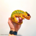 Panther Chameleon (Nosy Mitsio) - Male CB25