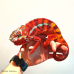 Panther Chameleon (Sambava) Male CB25