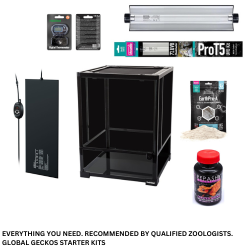 Crested Gecko Customisable Starter Kit