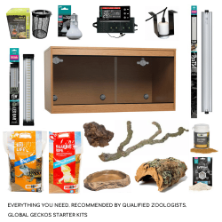 Chuckwalla Customisable Starter Kit