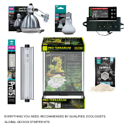 Arboreal Lizard Customisable Starter Kit - Small/Medium