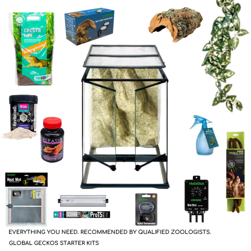 Crested gecko starter kit top