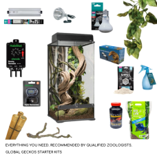Giant Day Gecko Complete Kit - XL
