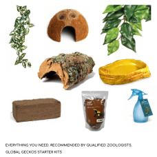 Amphibian Décor Pack - S & L