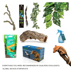 Crested Gecko Décor Pack - S & L