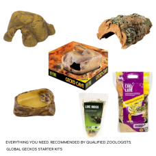 Leopard Gecko Decor Pack