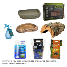 Tortoise Tropical Décor Pack (Vivarium)