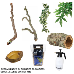 Tropical Lizard Décor Packs (5 Sizes)