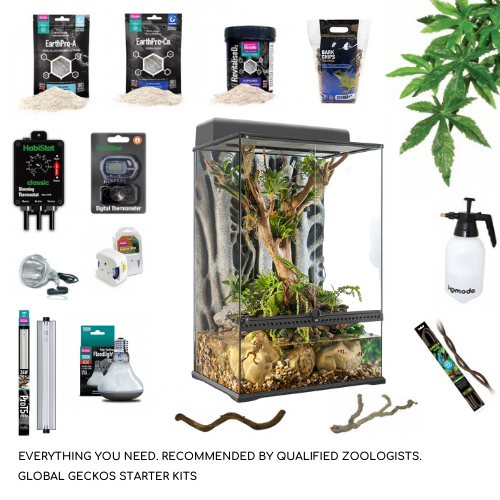 Starter Kit Veiled Chameleon Kit Chameleon Iguana Starter Kit