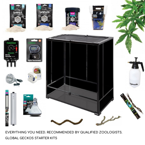 chameleon starter kit