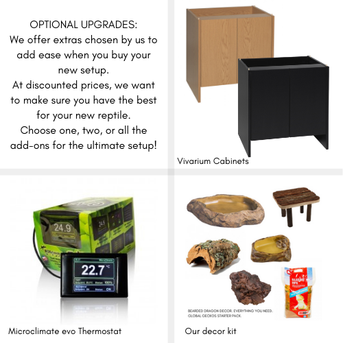 bearded dragon complete setup kit