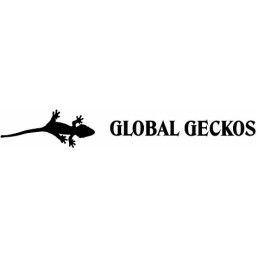 Global Geckos