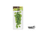 Giganterra Silk Plant - Ficus