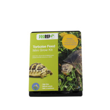 Tortoise Mini Feed Growing Kit Tortoise Mini Feed Growing Kit