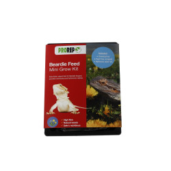 Beardie Mini Feed Growing Kit Beardie Mini Feed Growing Kit