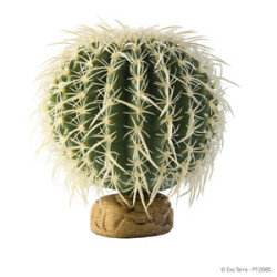 Barrel Cactus - M