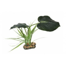 Komodo Woodland Canopy (42cm)