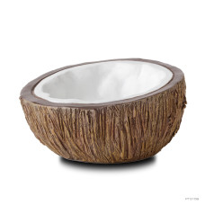 Coconut Water Dish - Frogs & Co
