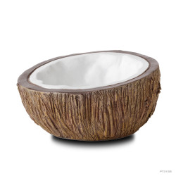 Coconut Water Dish - Frogs & Co